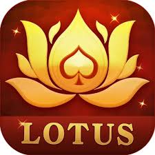 teen patti hacking video download